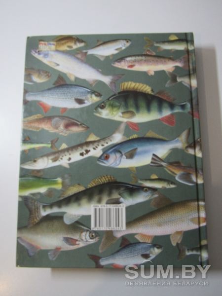 Рыбы России: Жизнь и ловля (ужение) наших пресноводных рыб объявление Продам уменьшенное изображение 
