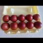 Маран яйцо инкубационное объявление Продам уменьшенное изображение 1