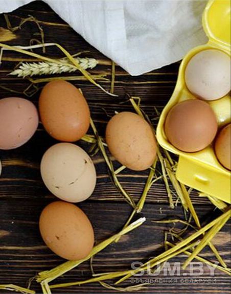 Яйцо куриное домашнее деревенское