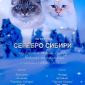Невские Маскарадные котята из питомника объявление Продам уменьшенное изображение 1