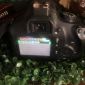 Зеркальный фотоаппарат Canon EOS 4000D Kit 18-55 объявление Продам уменьшенное изображение 3