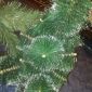 Ёлка искусственная сосна 60 см новогодняя ель очень пышная заснеженная зеленая объявление Продам уменьшенное изображение 3