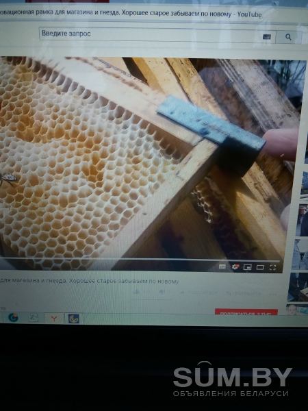 Мёд, сотовый мёд, прополис объявление Продам уменьшенное изображение 