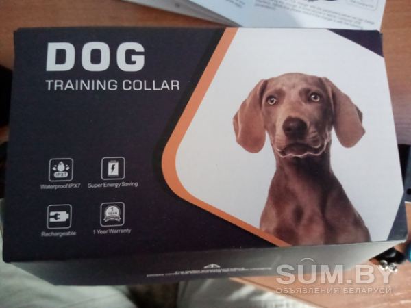 Тренировочный ошейник для собак объявление Продам уменьшенное изображение 