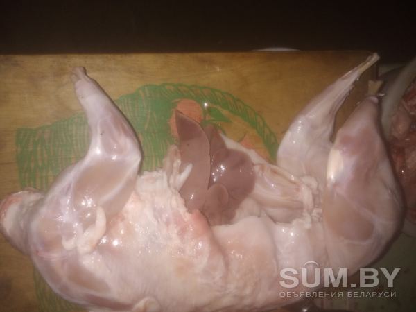 Мясо кролика свежее домашнее диетическое объявление Продам уменьшенное изображение 