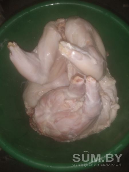 Мясо кролика свежее домашнее диетическое объявление Продам уменьшенное изображение 