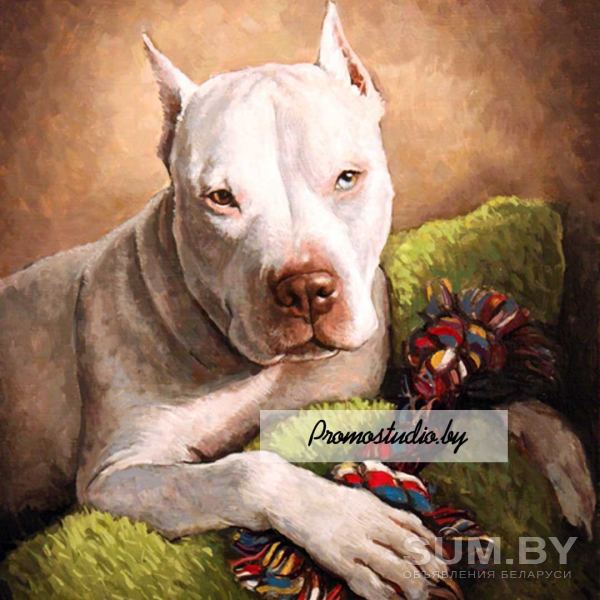 Портреты домашних животных объявление Продам уменьшенное изображение 