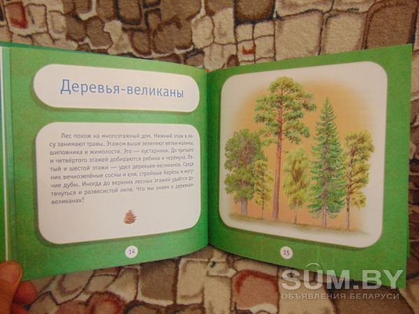 Детская книга: Под пологом леса. Моя первая книга о животных объявление Продам уменьшенное изображение 