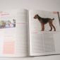 Ваша собака. Полная энциклопедия объявление Продам уменьшенное изображение 5