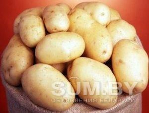Продам картофель объявление Продам уменьшенное изображение 