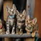 Бенгальские котята окраса розетка на золоте и розетка на серебре от выставочных родителей объявление Продам уменьшенное изображение 6