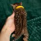 Леопардовые бенгальские котята объявление Продам уменьшенное изображение 4