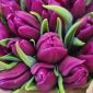 Тюльпаны фиолетовые. Букеты+бонус объявление  уменьшенное изображение 1
