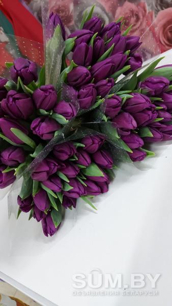Тюльпаны фиолетовые. Букеты+бонус объявление  уменьшенное изображение 