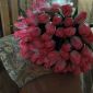 Тюльпаны розовые. Композиции , букеты , микс объявление  уменьшенное изображение 2
