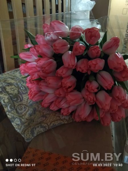 Тюльпаны розовые. Композиции , букеты , микс объявление  уменьшенное изображение 