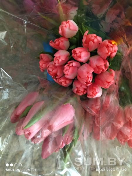 Тюльпаны розовые. Композиции , букеты , микс объявление  уменьшенное изображение 