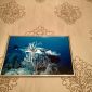 Фото для любителей подводного мира объявление Продам уменьшенное изображение 4