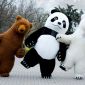 Большие Медведи Панда на ваш праздник объявление Услуга уменьшенное изображение 1