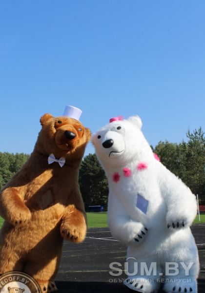 Большие Медведи Панда на ваш праздник объявление Услуга уменьшенное изображение 