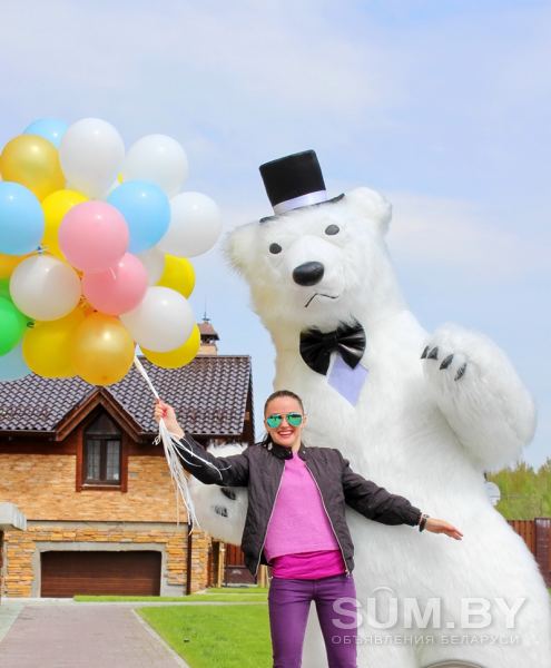Большие Медведи Панда на ваш праздник объявление Услуга уменьшенное изображение 