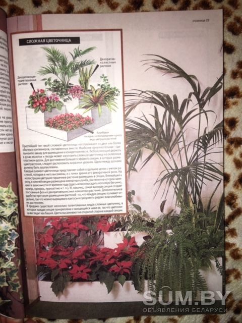 Все о комнатных растениях Д.Г. Хессайон объявление Продам уменьшенное изображение 