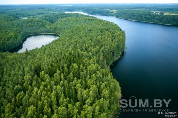 Голубые озёра Беларусь семейный отдых объявление Услуга уменьшенное изображение 