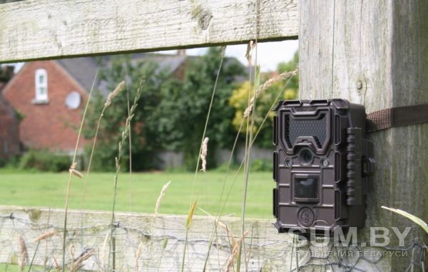 Фотоловушка для дачи, участка, хозяйства, загородного дома объявление Продам уменьшенное изображение 