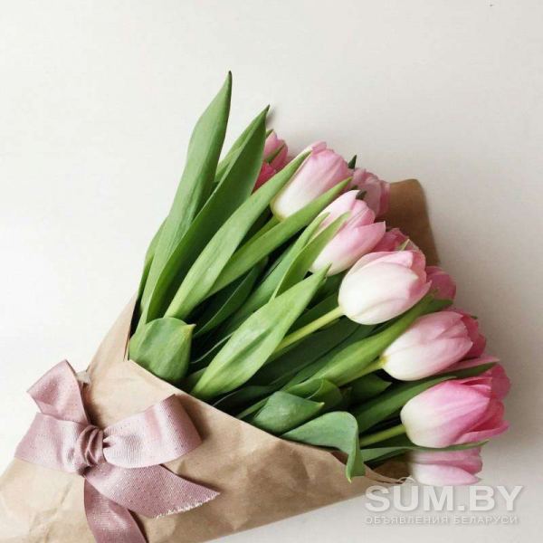 Тюльпаны объявление Продам уменьшенное изображение 