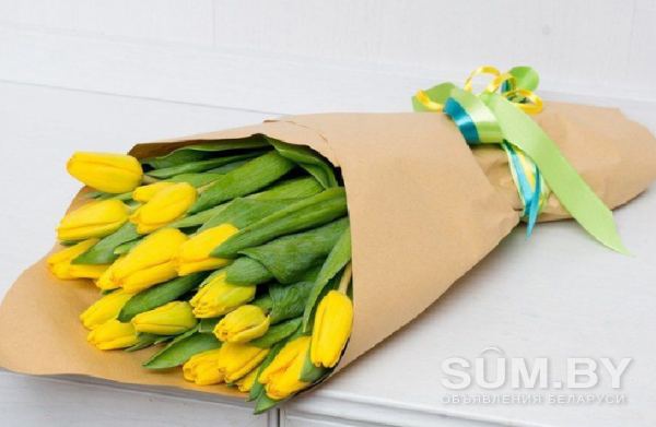 Тюльпаны объявление Продам уменьшенное изображение 