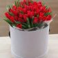 Тюльпаны объявление Продам уменьшенное изображение 3