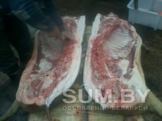 Продам мясо баранины и свинины объявление Продам уменьшенное изображение 
