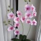 Орхидея из фоамирана объявление Продам уменьшенное изображение 2