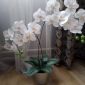 Орхидея из фоамирана объявление Продам уменьшенное изображение 4