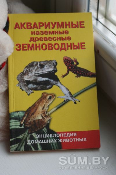 Книги про обитателей аквариумов объявление Продам уменьшенное изображение 