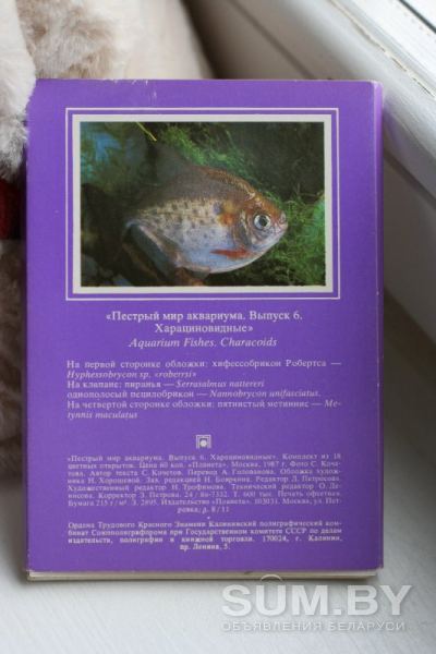 Карточки "Пестрый мир аквариума" объявление Продам уменьшенное изображение 