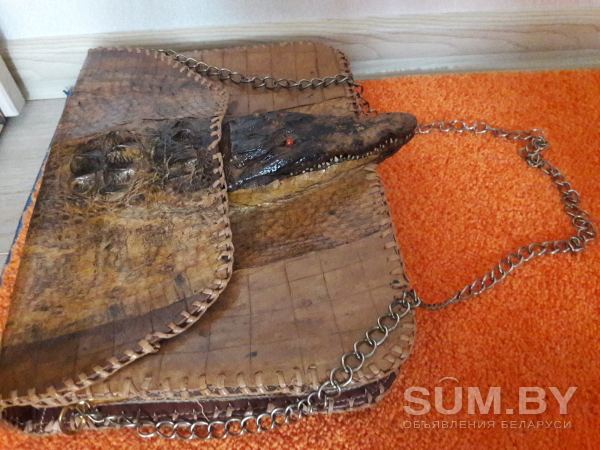 Сумочка из кожи крокодила.Эксклюзив объявление Продам уменьшенное изображение 