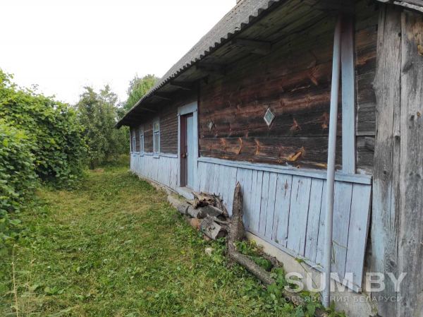 Продам дом на хуторе в Пружанском районе Брестской области объявление Продам уменьшенное изображение 