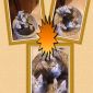 Котята Мейн-кун (прививки, документы в наличии) объявление Продам уменьшенное изображение 1