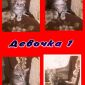 Котята Мейн-кун (прививки, документы в наличии) объявление Продам уменьшенное изображение 3