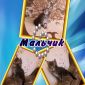 Котята Мейн-кун (прививки, документы в наличии) объявление Продам уменьшенное изображение 5