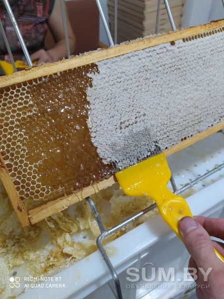 Мёд натуральный объявление Продам уменьшенное изображение 