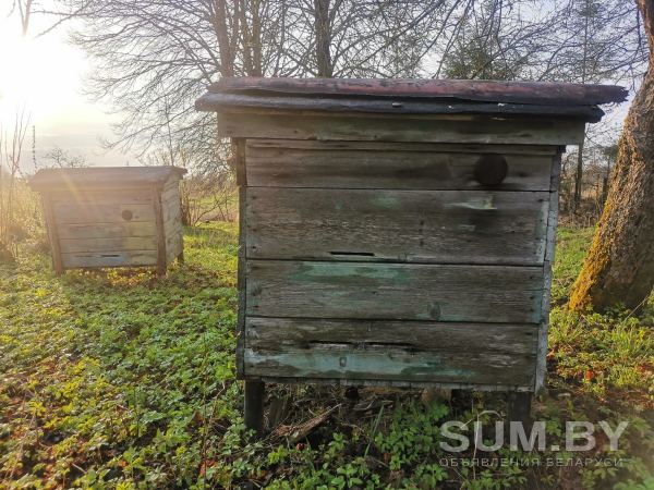 Пчелиные домики объявление Продам уменьшенное изображение 