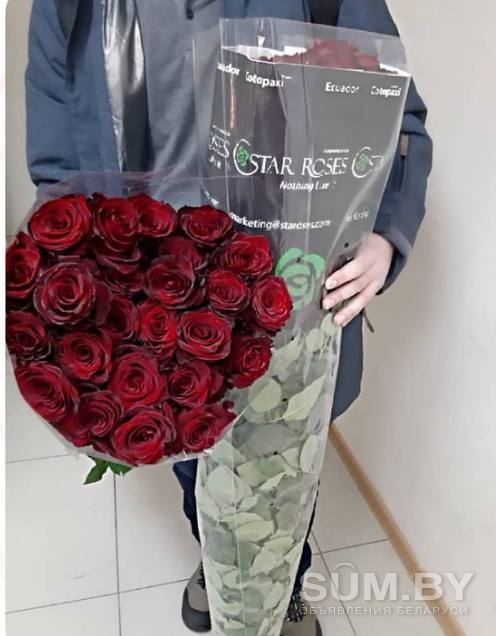 Длинные розы, высокие розы, Розы-гиганты объявление Услуга уменьшенное изображение 
