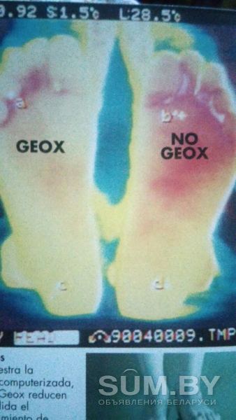 Кроссовки Geox Италия объявление Продам уменьшенное изображение 