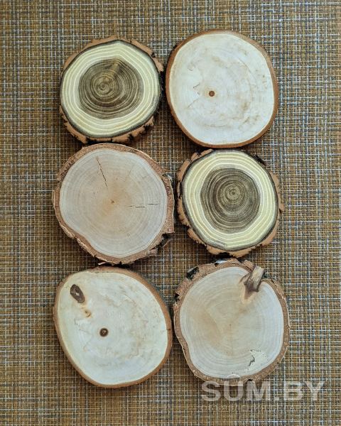 Комплект торцевых срезов дерева