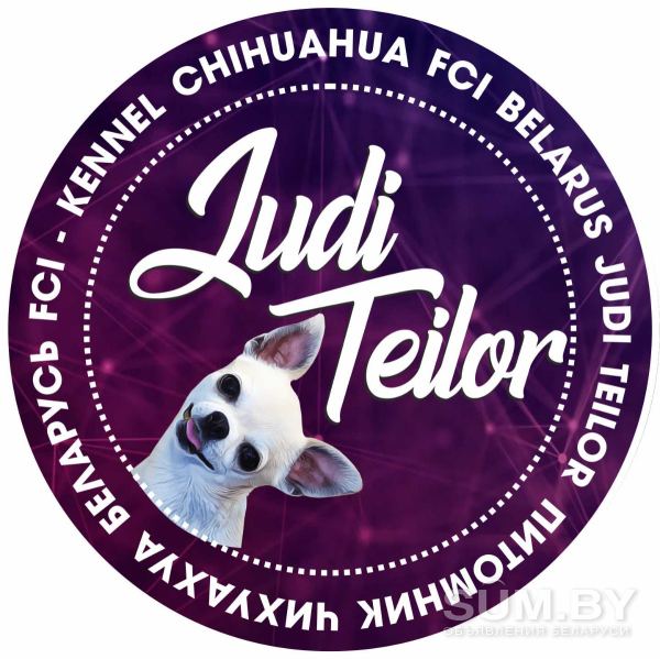 Питомник чихуахуа Judi Teilor FCI объявление Продам уменьшенное изображение 