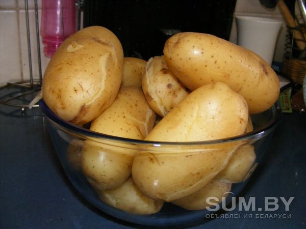 Продам картофель с доставкой на дом по Минску объявление Продам уменьшенное изображение 