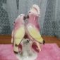 Антикварная статуэтка из фаянса Два попугая объявление Продам уменьшенное изображение 2