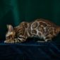 Бенгальские котята объявление Продам уменьшенное изображение 4
